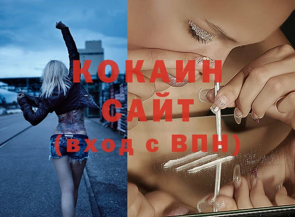 ПСИЛОЦИБИНОВЫЕ ГРИБЫ Богородск