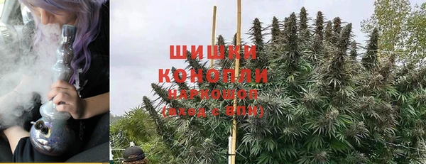 шишки Сафоново