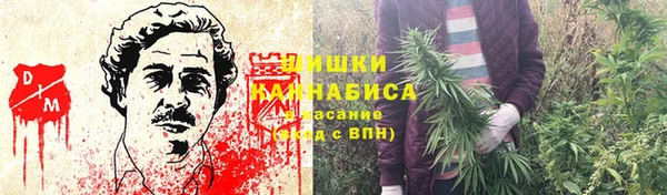 дживик Белоозёрский