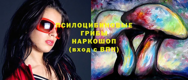 дживик Белоозёрский