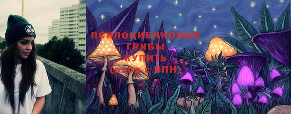 спайс Богородицк