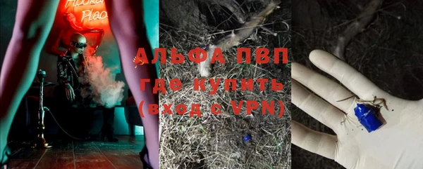 шишки Балахна